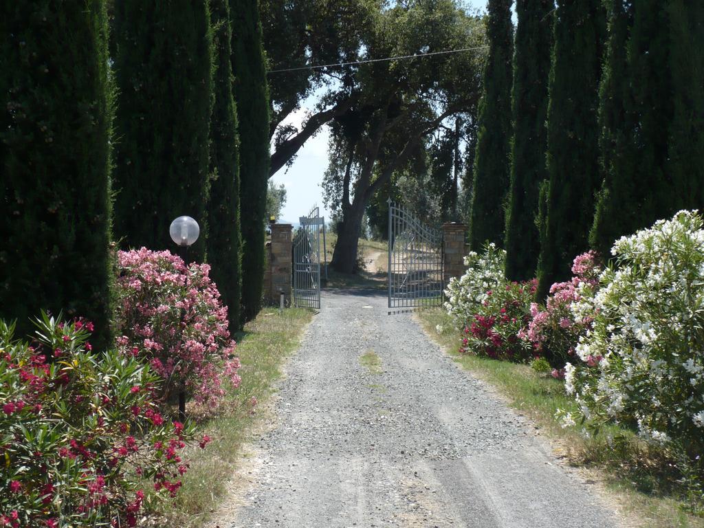 La Sassetta Villa Bibbona Eksteriør bilde